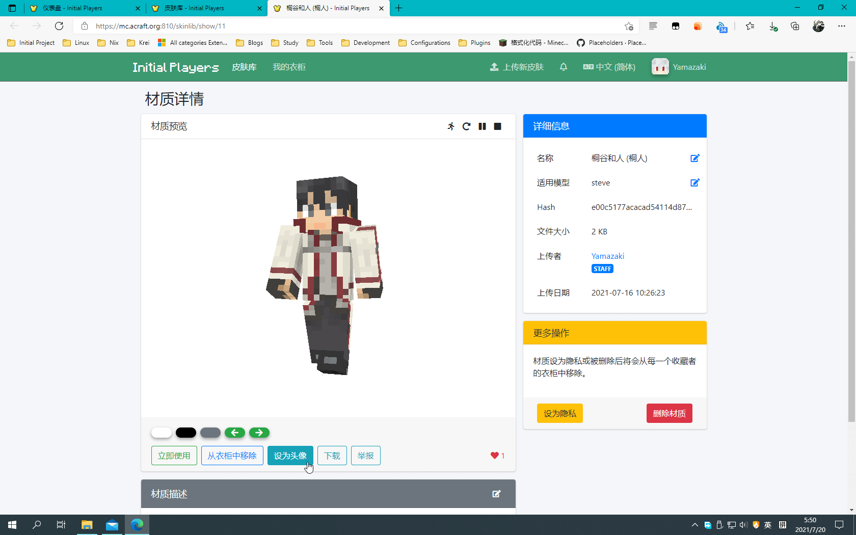 皮肤详细信息